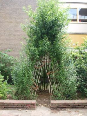 BSO Ondersteboven - Wilgen tipi